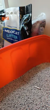 خاک بستر گربه میوکت مدل Carbon Activated Granule وزن ۱۰ کیلو گرم