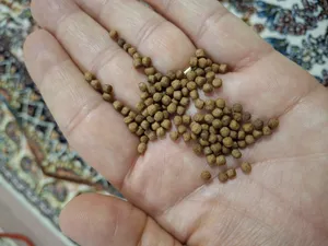تجریه خرید غذای ماهی آکواریوم کد 1003 وزن 500 گرم