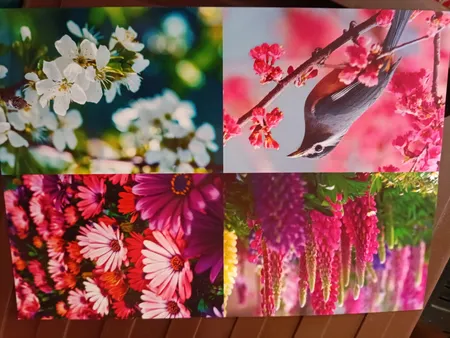 کاغذ فتو گلاسه 260 گرم ولف سایز A4