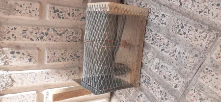تله موش مدل قفسی