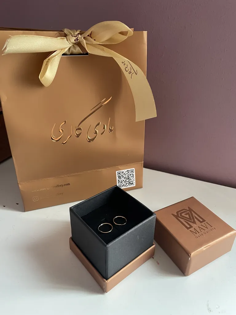 گوشواره طلا کم اجرت 18 عیار زنانه ماوی گالری مدل دایره حلقه ای کد 01