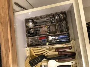 تجریه خرید جاقاشقی پگاه صنعت مدل SK202