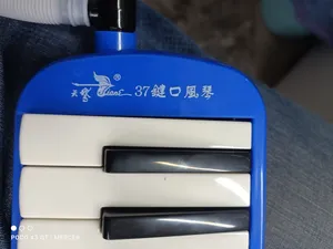 تجریه خرید ملودیکا سوان مدل 37k