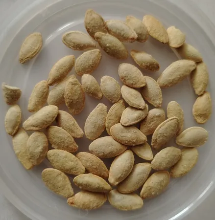 تخمه کدو گوشتی 125-400 گرم