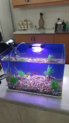 لامپ ال ای دی آکواریوم مدل B-10c