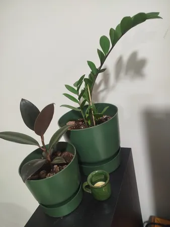 گلدان مدل دهکده کد 18 بسته دو عددی