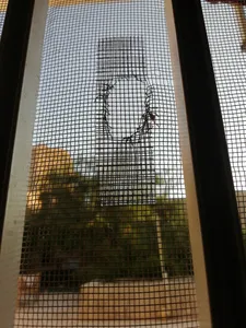 تجریه خرید چسب ترمیم توری پنجره نادیاهوم مدل meshrepair طول 2 متر