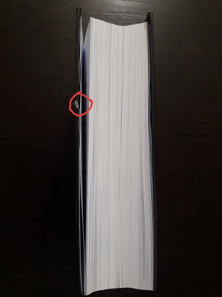 کتاب مایزلیس، تئوری بنیادی شطرنج اثر مایزلیس ایلیالوویچ