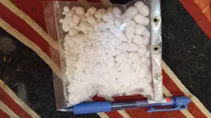 تجریه خرید نقل بیدمشک نچرال - 100 گرم