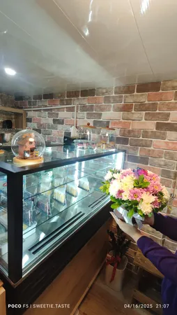 یخچال شوکیک فراست ایر24 مدل شوکیک 120