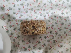 تجریه خرید تشویقی پرنده هپی برد مدل استیک عسلی وزن 70 گرم