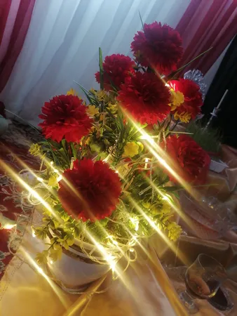 ریسه ال ای دی مدل سوزنی طول 10 متری