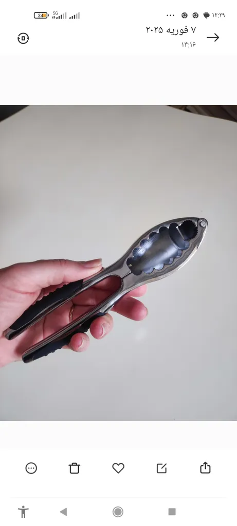 گردو شکن شنگیا مدل استیل E0980