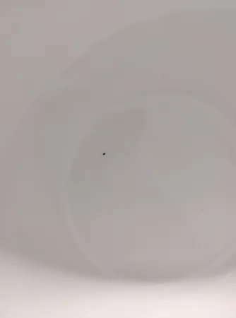 پیاله چینی زرین ایران مدل ایتالیا اف 14 فلورانس درجه 3 بسته 2 عددی