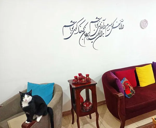 عکس ارسالی خریدار