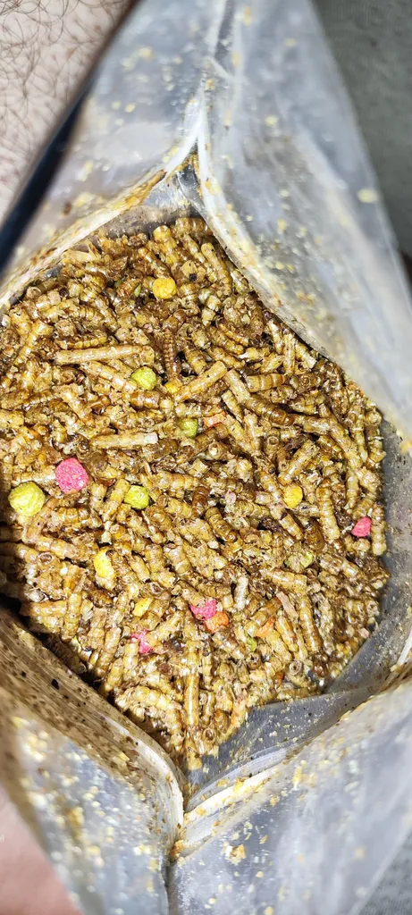 میل ورم مدل خشک وزن 200 گرم