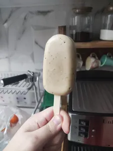 تجریه خرید قالب بستنی کد Mhr-333-XL