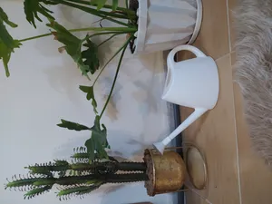 تجریه خرید آبپاش شهرآذین مدل 9020 ظرفیت 2 لیتر