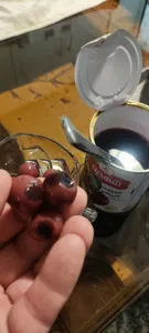 تجریه خرید کمپوت آلبالو شهدین - 370 گرم بسته 12 عددی