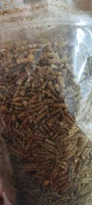 تجریه خرید میل ورم مدل خشک وزن 200 گرم