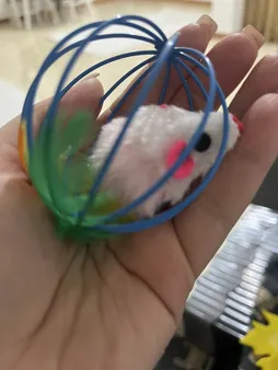 اسباب بازی گربه مدل موش در قفس