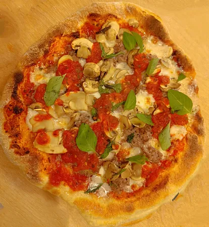 پیتزا پز کاراجا مدل Gastro