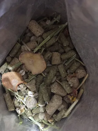 غذای خرگوش ردوپت مدل RR800 وزن 800 گرم