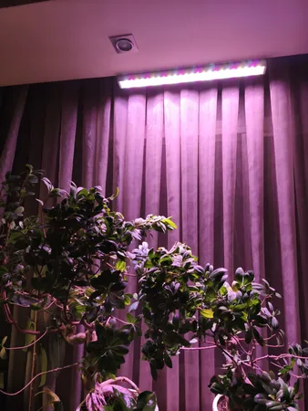 وال واشر ال ای دی رشد گیاه 24 وات مدل پارلین