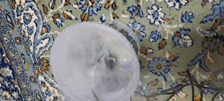 ماژول تولید بخار سرد مدل 350mLH به همراه ترانس