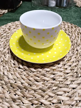 سرویس چای خوری 12 پارچه چینی زرین ایران مدل اسپاتی درجه عالی