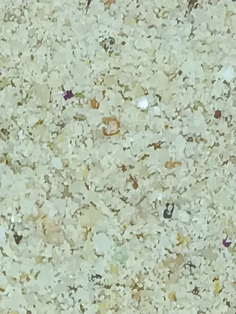 سویق مغزیجات ویتامینه سیدانو - 300 گرم