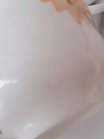 کاسه طرح بهار گل ها کد Fs006 مجموعه 6 عددی