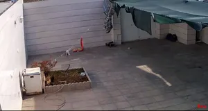 تجریه خرید دوربین مداربسته آی کیو مدل Ai-v31 کد US