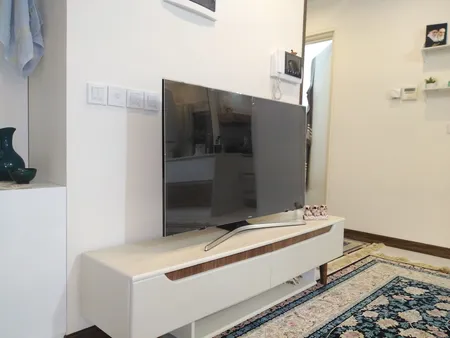 محافظ صفحه تلویزیون اس اچ مدل S-50 مناسب برای تلویزیون 50 اینچ