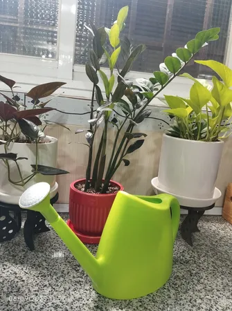 آبپاش شهرآذین مدل 9030 ظرفیت 3 لیتر