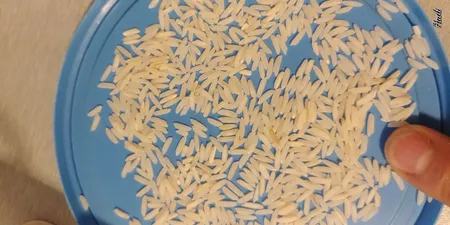 برنج هاشمی فوق اعلا مهمان نواز - 10 کیلوگرم