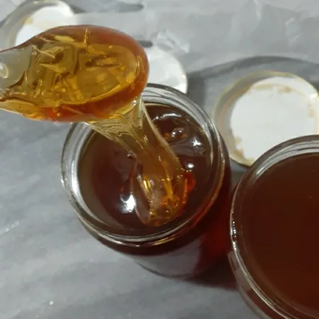 عسل طبیعی سبلان آویشن کوهی خام الماس کوهستان - 1 کیلوگرم