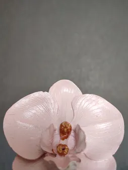 جا عودی مدل گل ارکیده