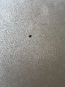 تجریه خرید مبل راحتی 7 نفره مبل لوکس شاپ مدل هوکو