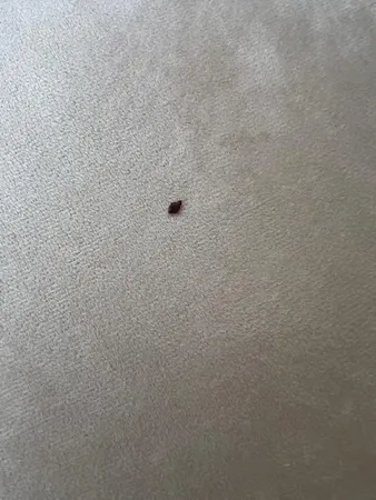 مبل راحتی 7 نفره مبل لوکس شاپ مدل هوکو