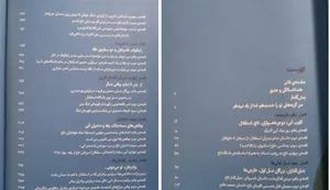 تجریه خرید کتاب آبی آنتیک از تاج تا استقلال اثر ابراهیم افشار انتشارات وزن دنیا