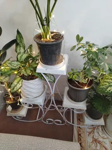 تجریه خرید استند گلدان مدل کوهسار