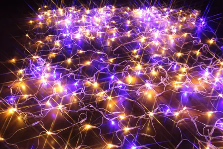 ریسه ال ای دی روژ کد  به طول 25 متر