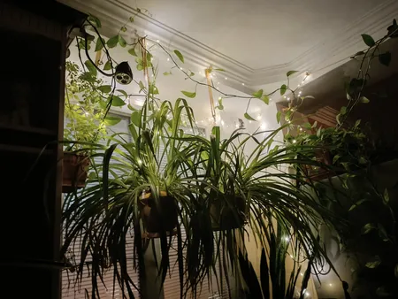 ریسه ال ای دی مدل USB طول 10 متر