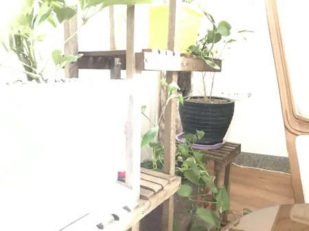 استند گلدان مدل gol3