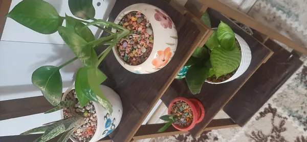 عکس ارسالی خریدار