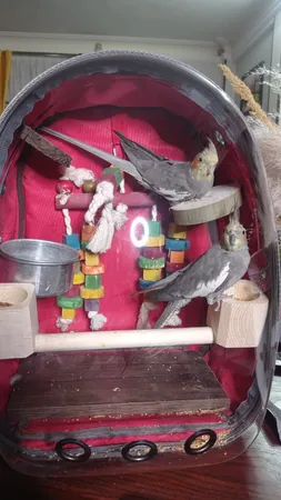 کوله پشتی حمل پرندگان مدل Z001