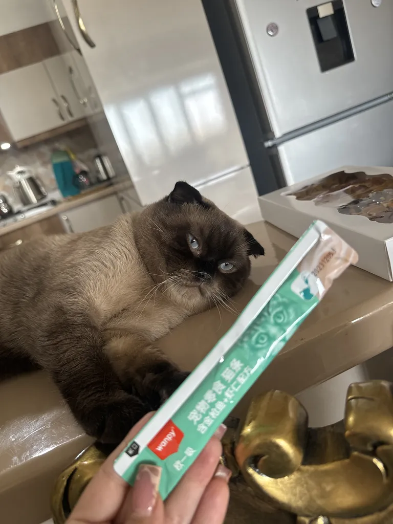 بستنی ونپی گربه مدل سبز ماهی تن و میگو وزن 70 گرم