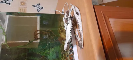 جمجمه تزیینی آکواریوم کد MS