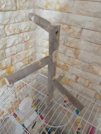 اسباب بازی پرندگان مدل نشیمنگاه طوطی طرح استند a6